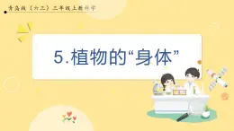 【青岛版六三制】三上科学 2.5 植物的“身体 课件