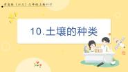 小学科学青岛版 (六三制2017)三年级上册10 土壤的种类优质课件ppt