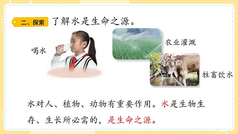 【青岛版六三制】三上科学 5.21 淡水资源 课件第3页