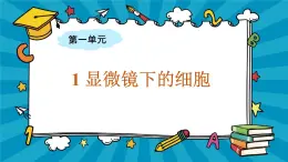 大象版科学六上 1.1《显微镜下的细胞》课件+视频+练习