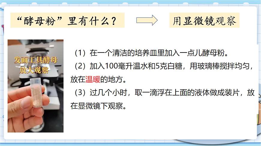 大象版科學(xué)六上 1.2《發(fā)面的秘密》課件第4頁
