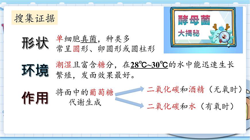 大象版科學(xué)六上 1.2《發(fā)面的秘密》課件第6頁