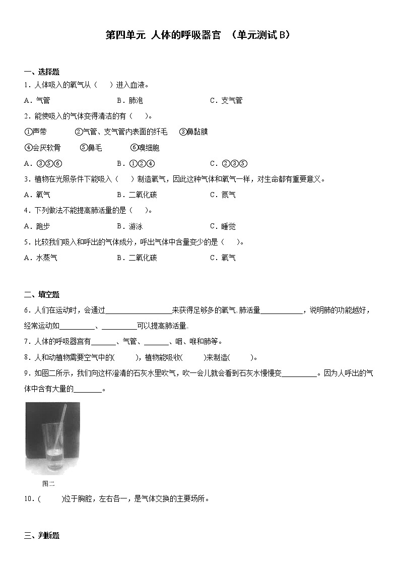 大象版科学四年级上册 第四单元人体的呼吸器官(单元测试B卷+答案)第1页