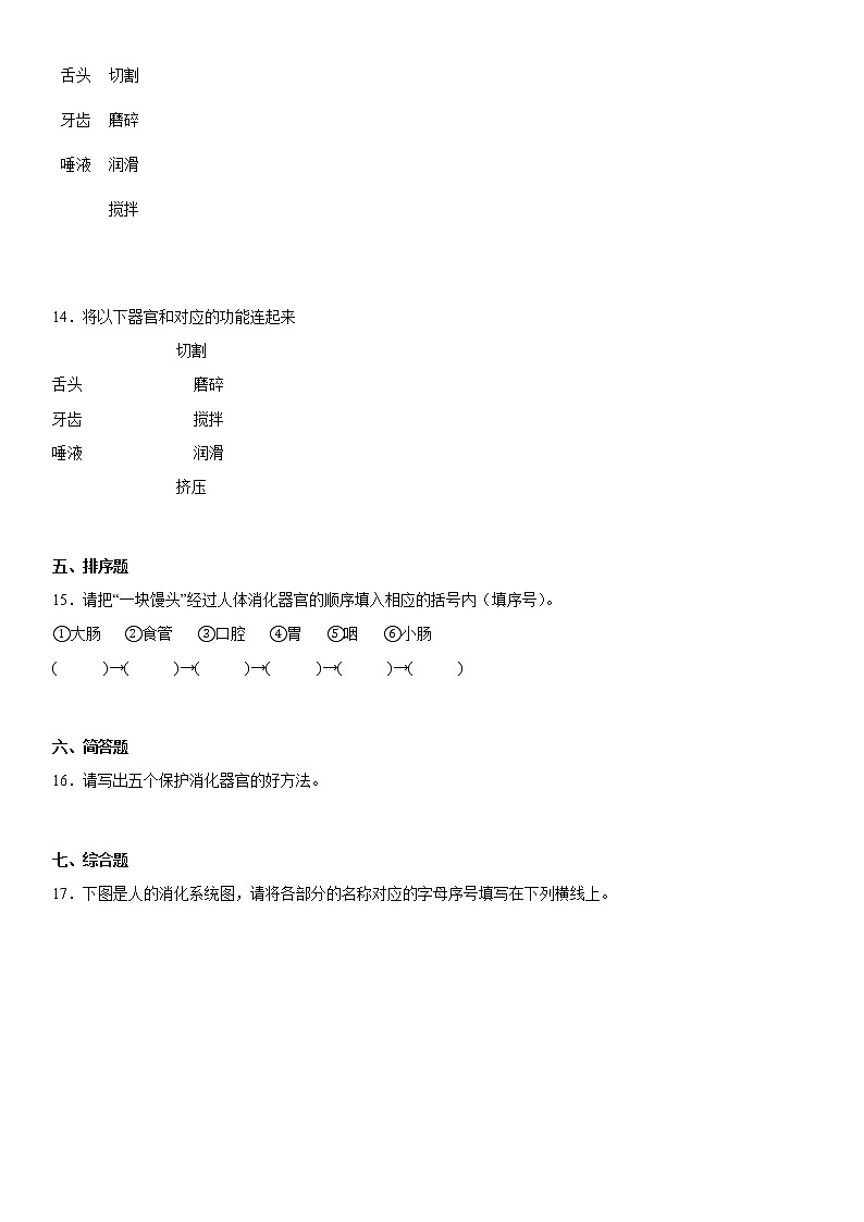 大象版科学四年级上册 第五单元人体的消化器官(单元测试B卷+答案)第2页