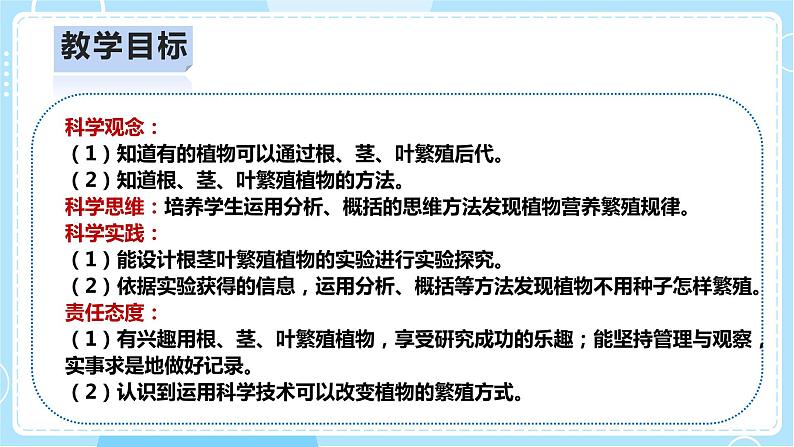 【人教鄂教版】四上科学 2.6《不用种子怎样繁殖》(课件+教案+练习)02