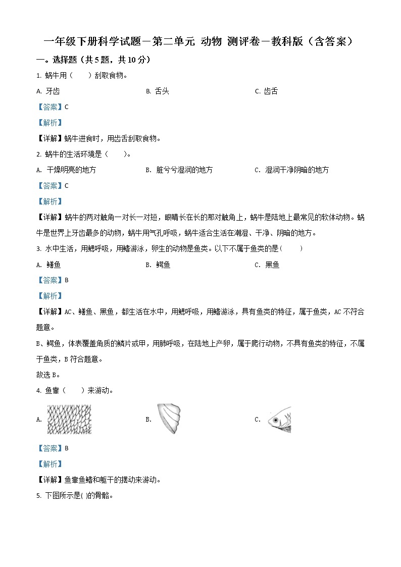 小学科学教科版一年级下册单元测试卷：第二单元 动物（原卷版+解析版）01