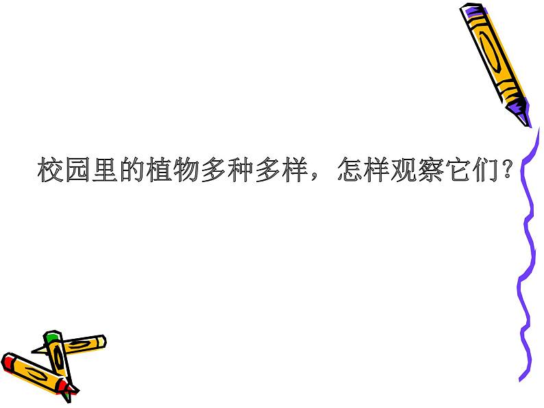 人教版鄂教版科学一年级下册第一单元3.观察校园里的植物 课件+教案04