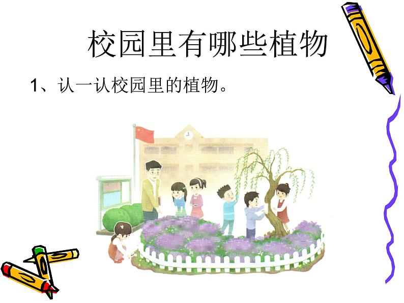 人教版鄂教版科学一年级下册第一单元3.观察校园里的植物 课件+教案05
