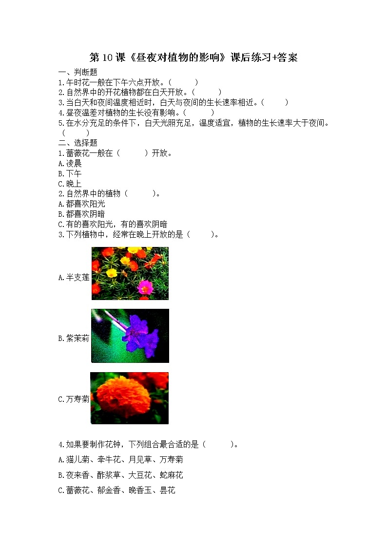 扬州市新苏教版五年级下册科学第10课《昼夜对植物的影响》课后练习+答案第1页
