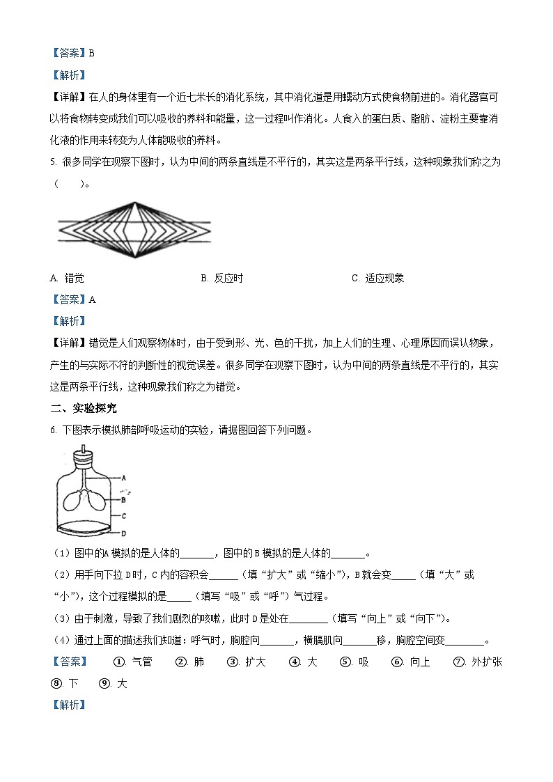 2021-2022学年山西省阳泉地区冀人版六年级下册期末考试科学试卷.(解析版)第2页