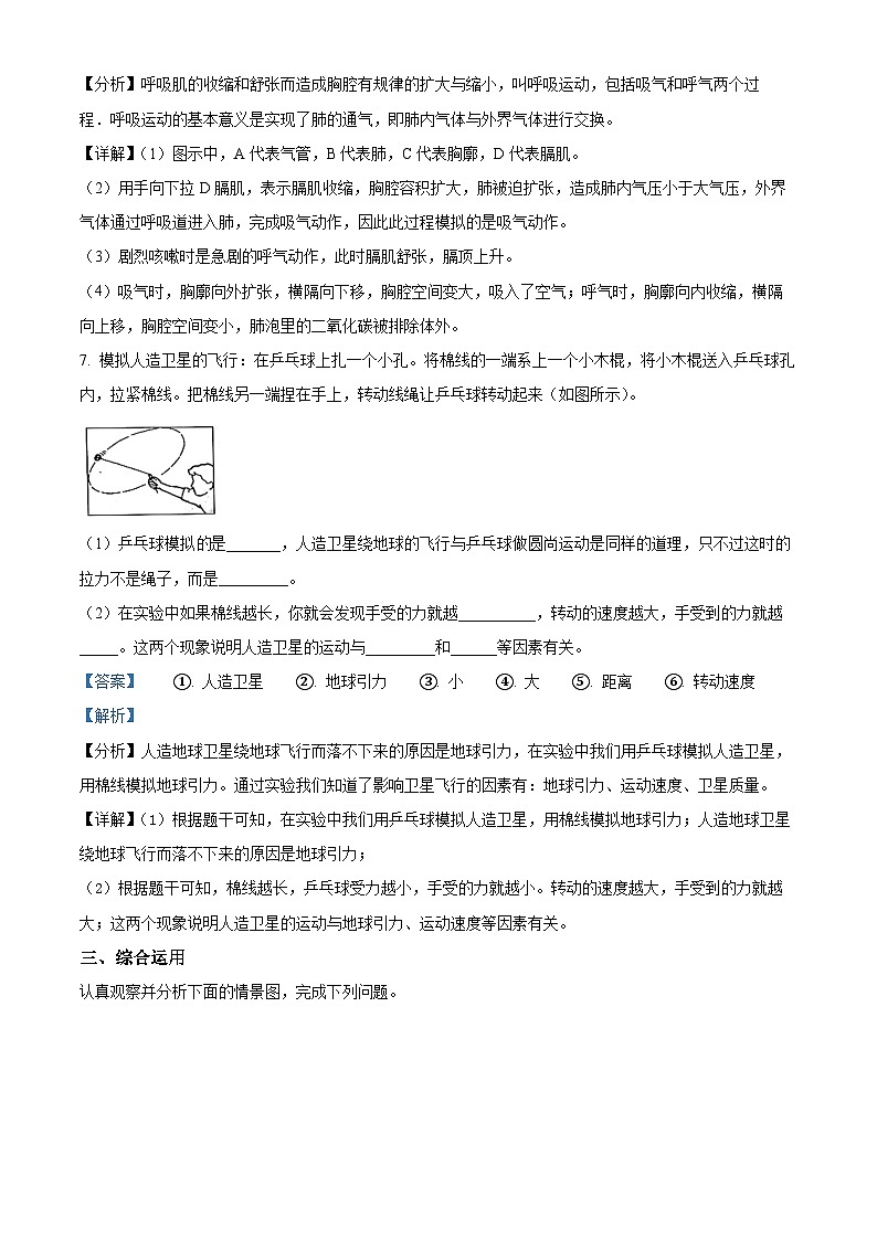 2021-2022学年山西省阳泉地区冀人版六年级下册期末考试科学试卷.(解析版)第3页