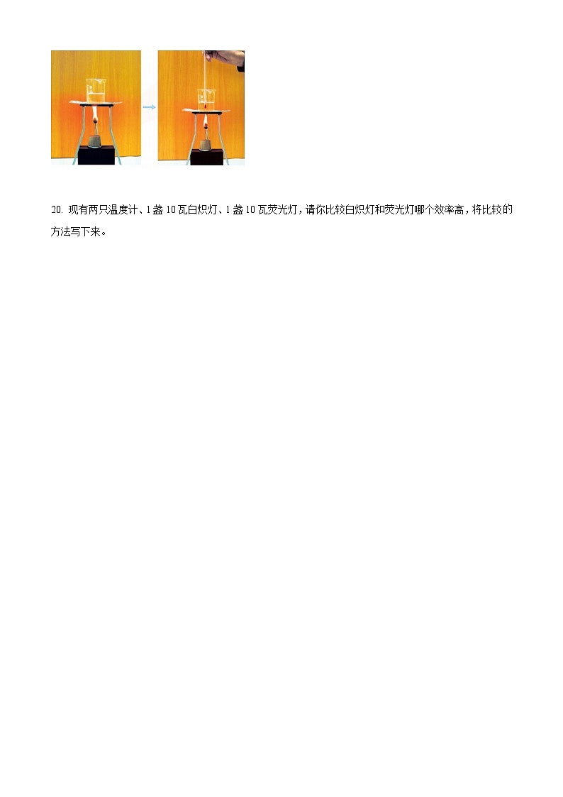 湖北省十堰市郧西县城关镇春桥小学2021年教科版小升初考试科学试卷(原卷版)第3页