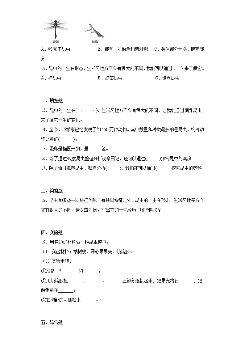 311探究昆虫的奥秘 真题练习 小学科学四年级下册 苏教版(2017)02