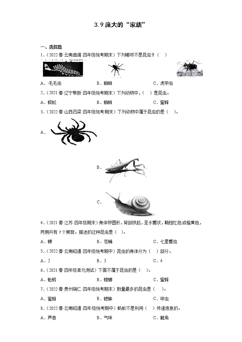 39庞大的“家族” 真题练习 小学科学四年级下册 苏教版(2017)01