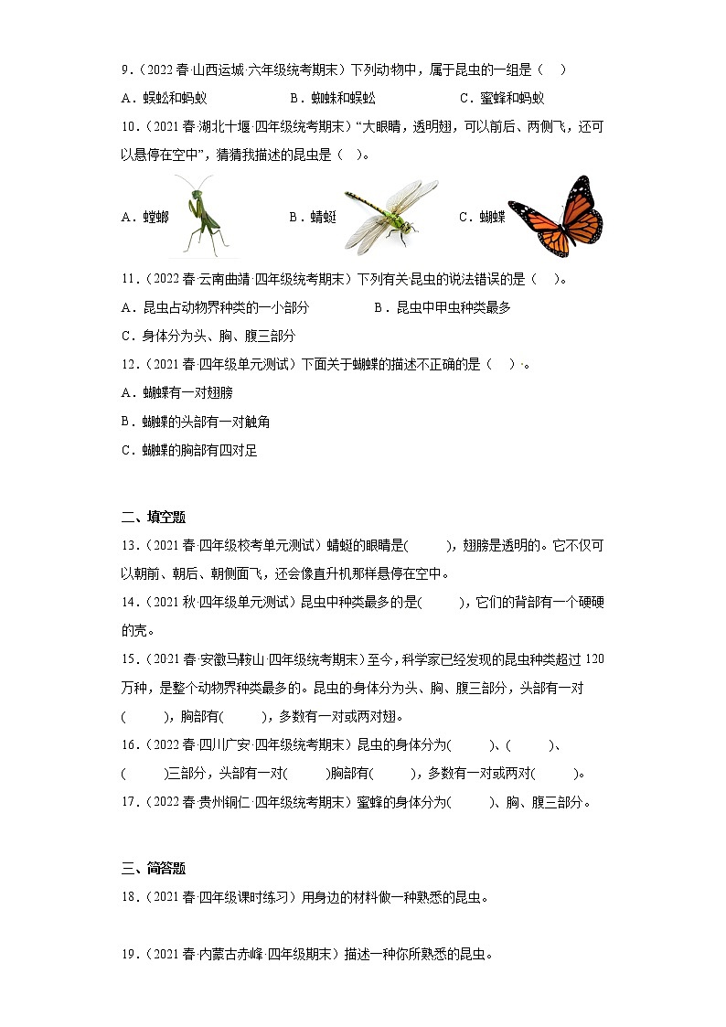 39庞大的“家族” 真题练习 小学科学四年级下册 苏教版(2017)02