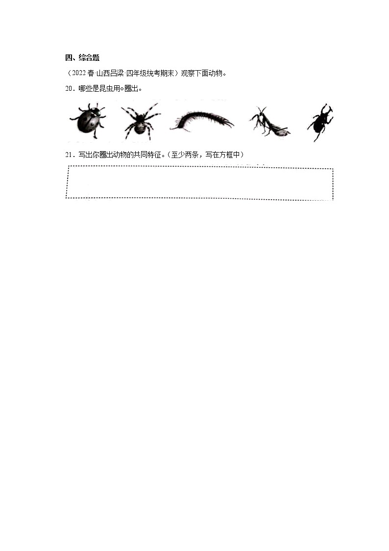 39庞大的“家族” 真题练习 小学科学四年级下册 苏教版(2017)03