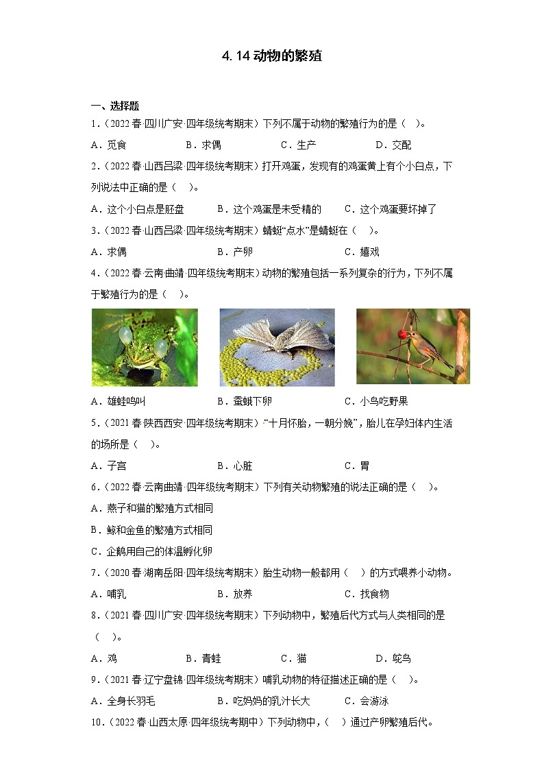 414动物的繁殖 真题练习 小学科学四年级下册 苏教版(2017)01