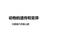 大象版六年级科学上册4.2《动物的遗传和变异》教学课件