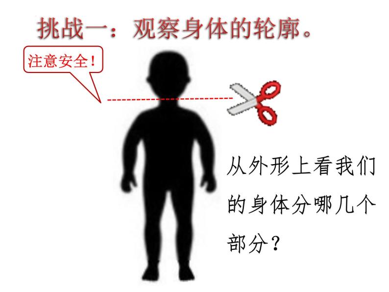 二年级下册科学教科版2.1《观察我们的身体》课件03