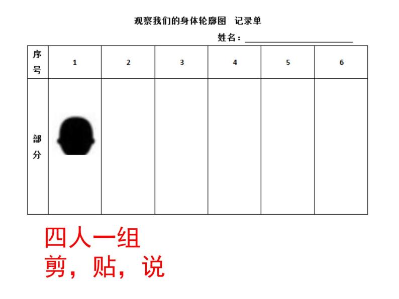 二年级下册科学教科版2.1《观察我们的身体》课件04