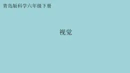 新青岛版六三学制六年级科学下册 1 视觉（课件）