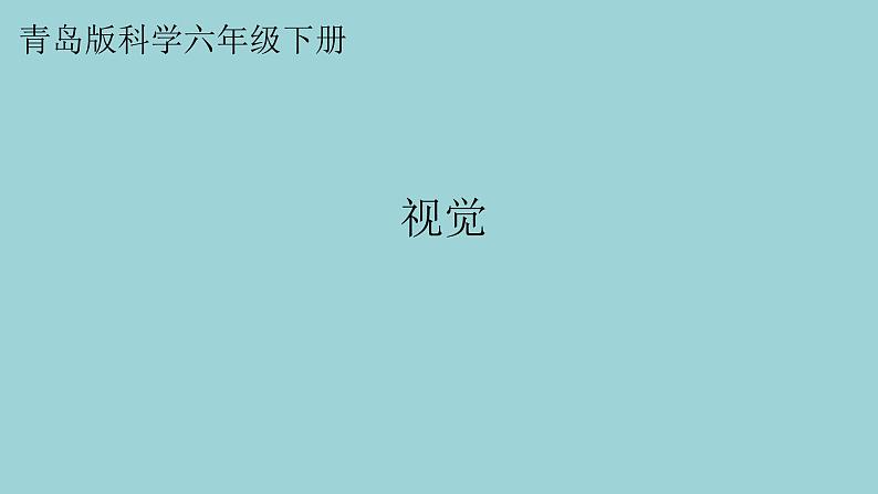 新青岛版六三学制六年级科学下册 1 视觉(课件)01