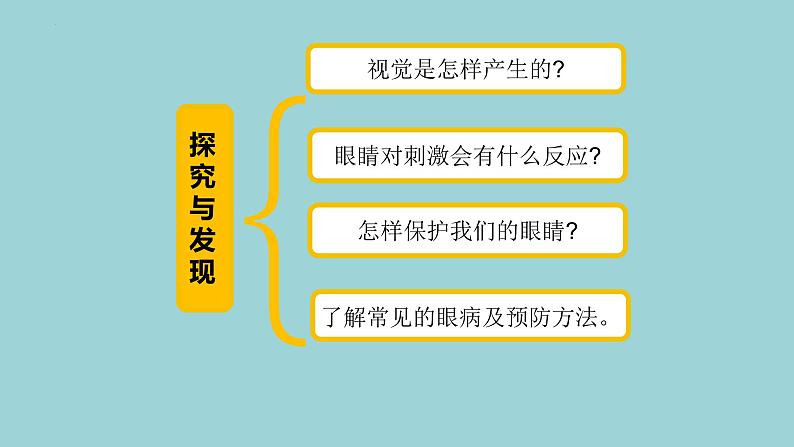 新青岛版六三学制六年级科学下册 1 视觉(课件)04