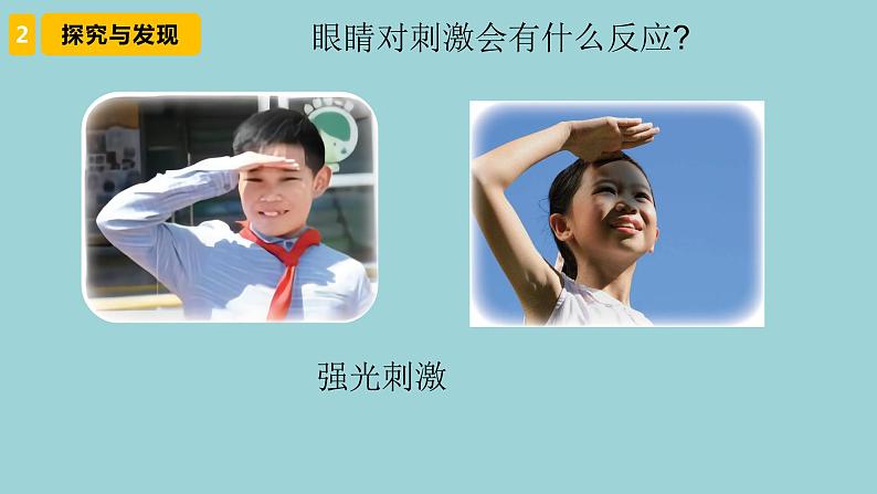 新青岛版六三学制六年级科学下册 1 视觉(课件)08
