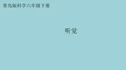 新青岛版六三学制六年级科学下册 3 听觉（课件）