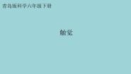 小学科学青岛版 (六三制2017)六年级下册触觉教案配套课件ppt