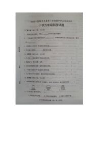 山东省菏泽市成武县2022-2023学年六年级下学期期中考试科学试题