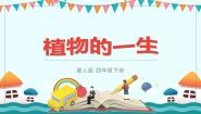 冀人版 (2017)四年级下册7 植物的一生优秀教学ppt课件