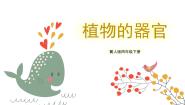 小学冀人版 (2017)7 植物的一生优秀ppt课件