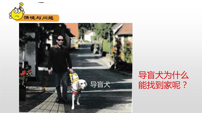 冀人版一年级上册科学10.动物的感官课件第2页