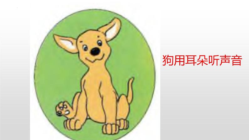 冀人版一年级上册科学10.动物的感官课件第6页
