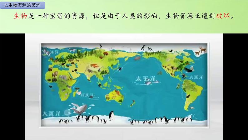 六年级上册冀人版科学17.保护生物(课件)第6页