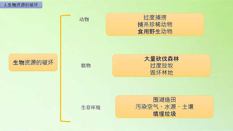 六年级上册冀人版科学17.保护生物(课件)第7页
