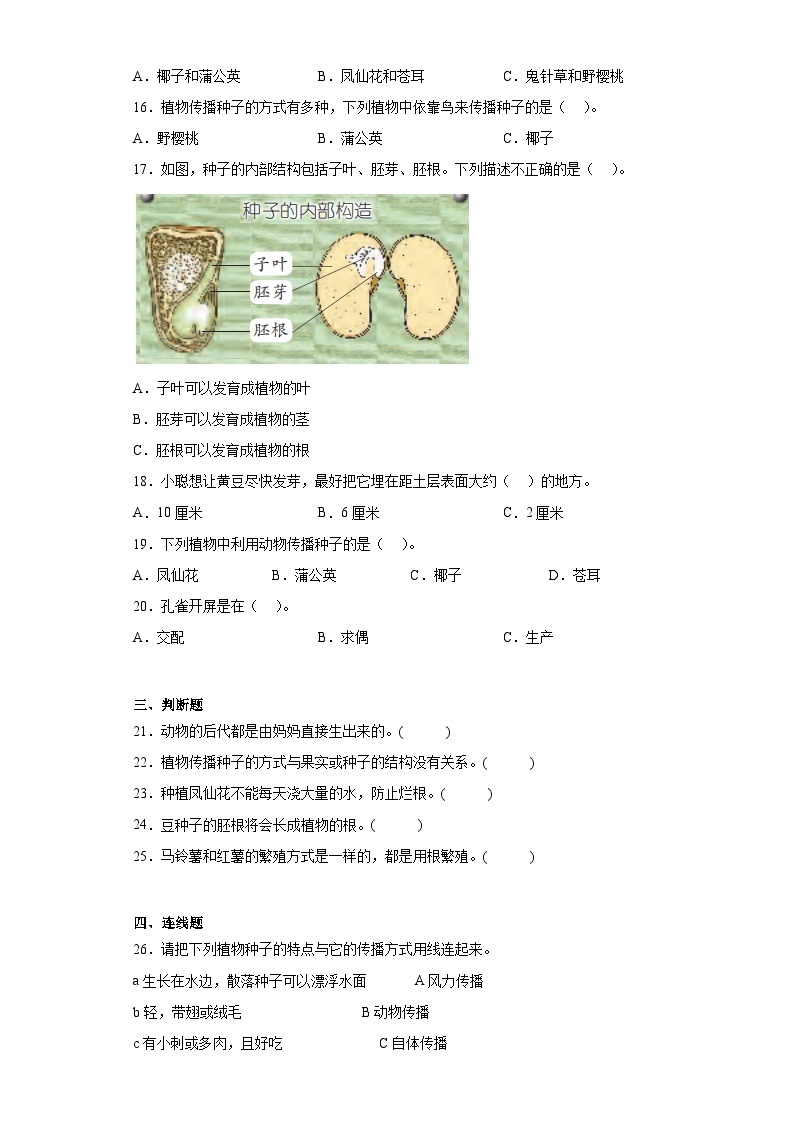 苏教版四年级下册科学第四单元繁殖训练题02