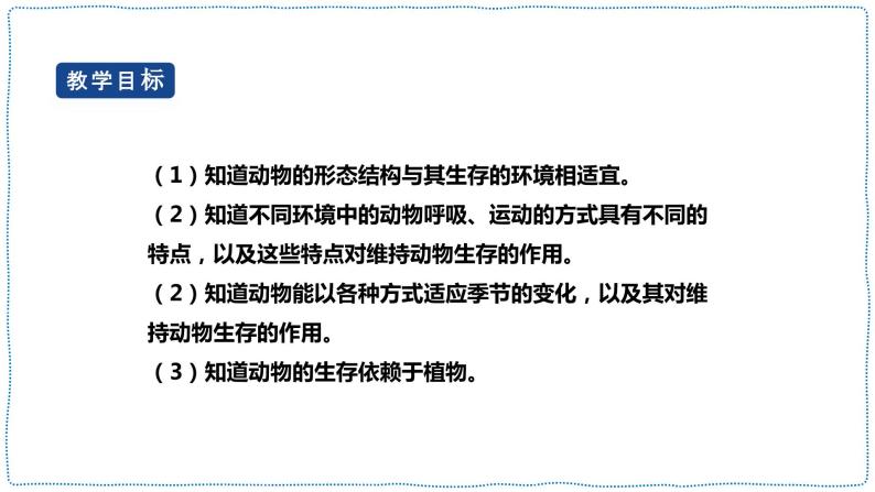 人教鄂教版四下【新课标】3.11《不同环境中的动物》课件PPT+教案02