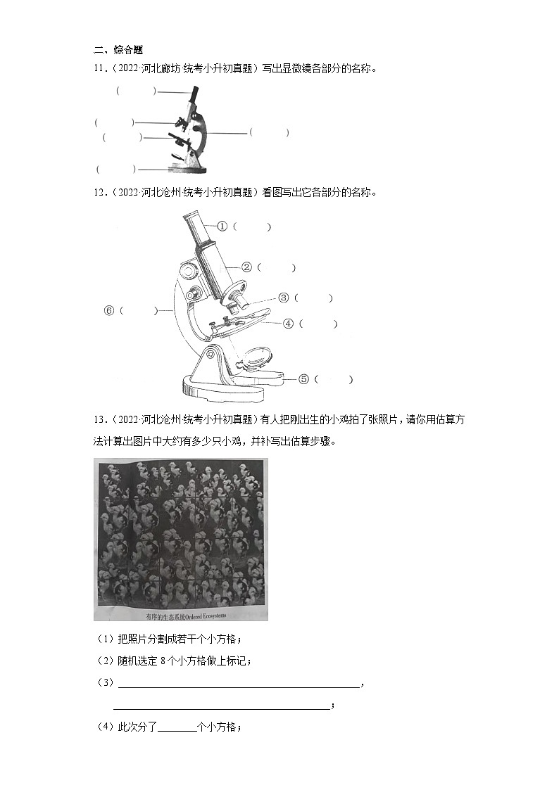 小升初知识点分类-02技术与工程(试题)⑧-六年级下册科学通用版第2页