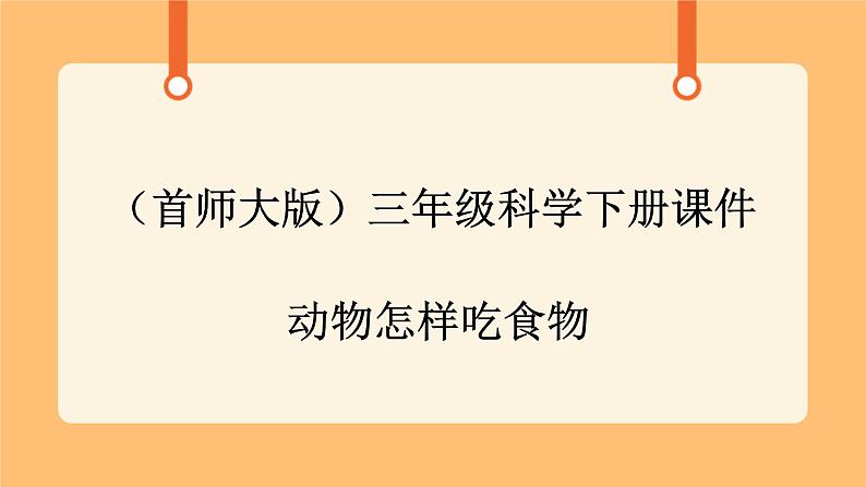 《9.动物怎样吃食物》课件第1页