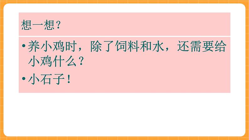 《9.动物怎样吃食物》课件第7页
