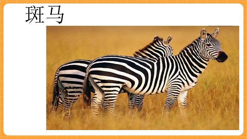 《10.动物怎样保护自己》第二课时 课件第5页