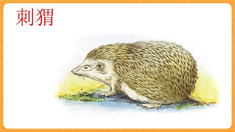 《10.动物怎样保护自己》第二课时 课件第6页