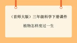 《14.植物怎样度过一生》三课时 教案+课件