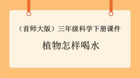 首师大版三年级下册15.植物怎样喝水获奖ppt课件