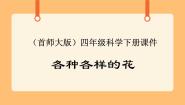 小学首师大版9.花的构造一等奖ppt课件