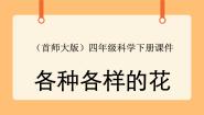 小学首师大版10.各种各样的花精品课件ppt