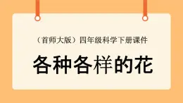 《10.各種各樣的花》第二課時 教案+課件