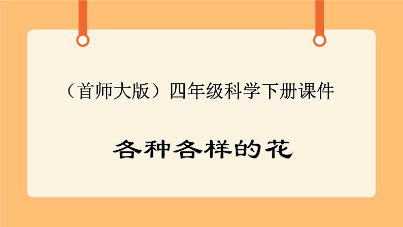《10.各种各样的花》第四课时 课件第1页